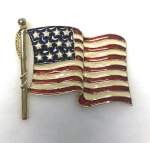 American Flag Pin 